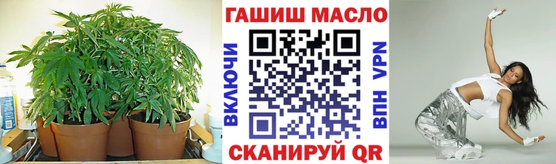 магазин    Александровск  ТГК вейп 